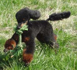 Uschi1jahr216