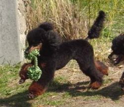 Uschi1jahr254