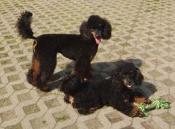 Uschi1jahr337