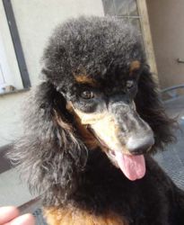 Uschi1jahr345