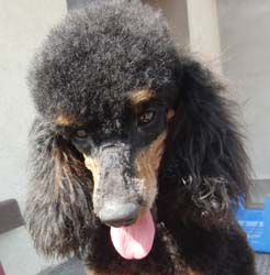 Uschi1jahr347