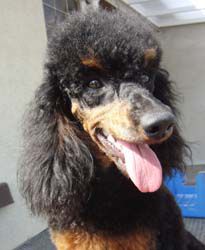 Uschi1jahr350