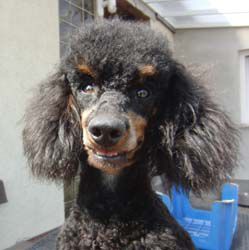 Uschi1jahr353