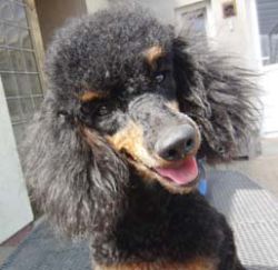 Uschi1jahr355