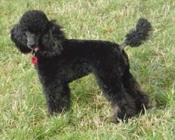 Xilli7mo050
