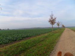 09.11.14.035